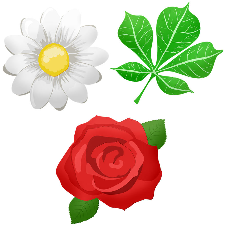 pi 741399 1751877766992